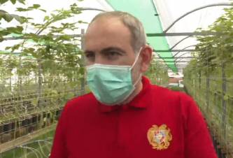 Կամարիսում ասֆալտապատվում է դեպի «Ռոք Բերի» ջերմոցային տնտեսություն տանող ճանապարհը. ուղիղ