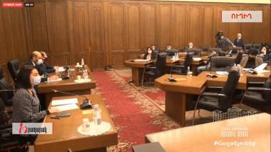 Ուղիղ. ԱԺ հանձնաժողովների համատեղ նիստում քննարկվում է 2021թ. պետբյուջեի նախագիծը