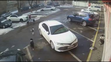 «էս վայրի շներո՞վ էլ պետք է բնակիչները զբաղվեն»