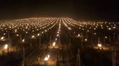 Կարելի է կիրառել նաև Հայաստանում. Գագիկ Սուրենյան